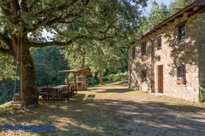 Abissinia, Gioiello nel Bosco - Image 1