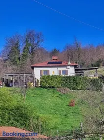 La Casa nel Bosco - Image 1