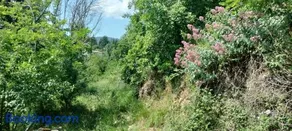 La bergerie d'Annie - Image 4