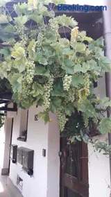 Sommerfrische - Image 4