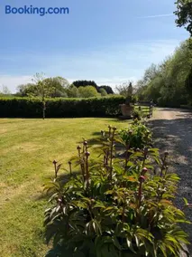 Couples Spring Break With Alpacas & Private Hot Tub in the Quaint Dorset Countryside with BBQ - Image 4