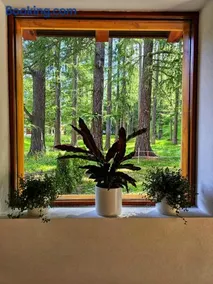 Lärchen Lodge - Image 3