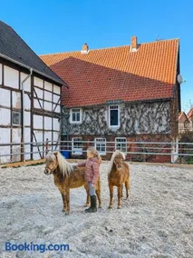 Alpakahof - Familienbett, Spielgarten & Tiere - Image 1