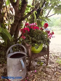 Maison avec jardin dans village - Image 3