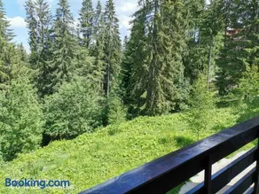 Antonia, Apartament Predeal - Image 1