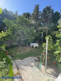 Mata's House - Image 1