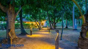 Sansevieria Homestay - Image 1