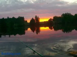 Lomakoivulehto - Image 2