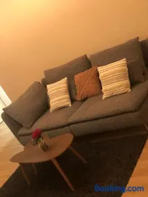 Superbe Appartement tout équipé, Le nid d'Eva à Metz Gare, Parking privé, Balcon, F2, 50m2, 3p - Image 3