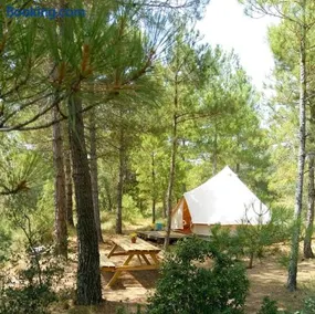 Forest Days - Image 2