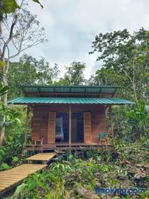 Madre Selva Eco Lodge - Image 2