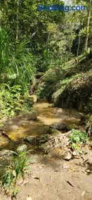 Glamping Barbosa Antioquia - Image 4