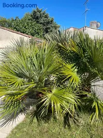 Les palmiers - Image 2