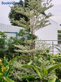 Cherish Farm Stay - Image 4