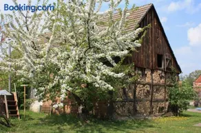 Ferienhof Löschebrand - Image 2