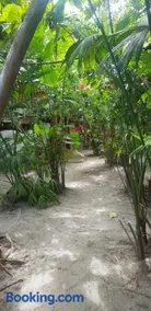 Bongosurfcamp - Image 2