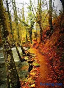 Moreiriña- Bentraces - Image 1
