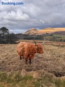 The West Highland Way Campsite & Campervan Accommodation - Image 3