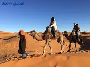 Sahara camel tours camp - Image 3