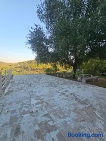 Stone Villa, traditional beauty 5 min to batroun - Image 5