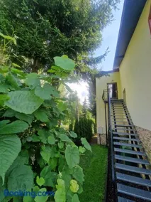 Gospodarstwo Agroturystyczne Borówkowy Bukiet Smaków - Image 3