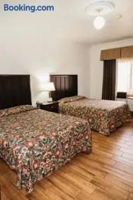 Hotel del valle - Image 3