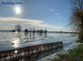 Ferme au cœur du marais Audomarois - Image 5