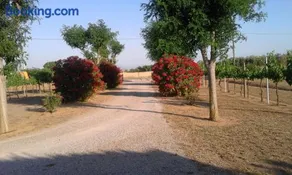 Monolocale con giardino - Image 3