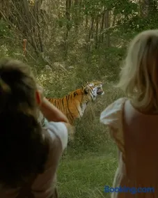 Knuthenborg Safaripark - Image 3