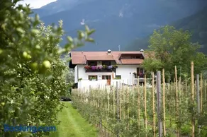 Bauernhof Sackgut - Image 2