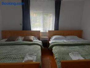 Casa din deal-Apuseni - Image 4