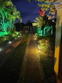 Pinheiros do Lago - Image 4