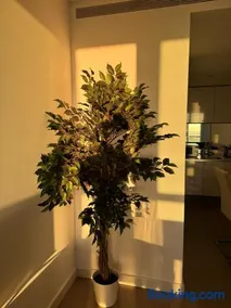 Luxury Skyline Apartment in Sky Gardens, Nine Elms - Image 4