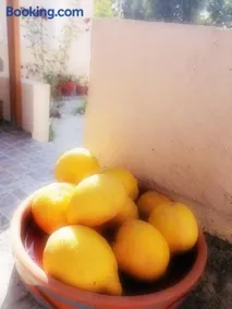 Lemon Tree House - Image 1
