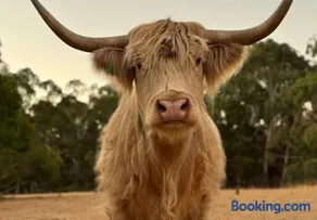 Adelaide Hills Farm Stay - Image 1