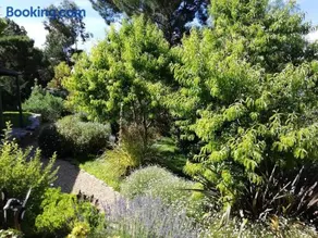Burra Hills - Image 3