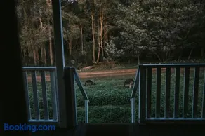 Two Brothers' Cabin - Image 3