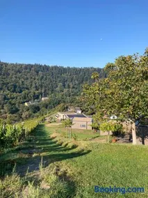 MoselHoch - Image 4