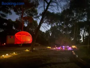 La Bulle des Pins - Image 3