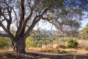 Monte Oliva - Turismo Rural - Image 1
