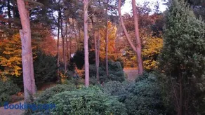 Ferienwohnung Kiefernblick-Wedemann - Image 3