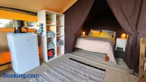Cool Under Canvas - Image 3