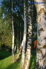 Brzozowy Zakątek - domek całoroczny - Image 2