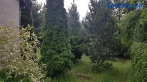 Domek na wsi Długosiodło - Image 3