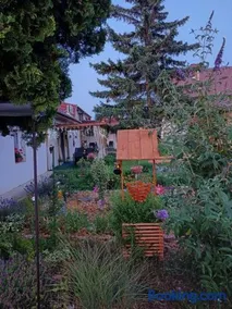 Százszorszép Vendégház - Image 5