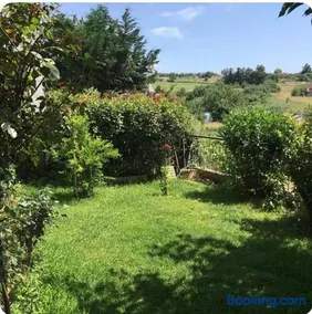 HOUSE WITH GARDEN Netflix - Image 3