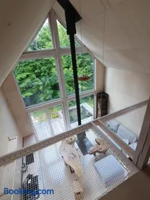 Schody do wody Domek z linią brzegową Kaszuby sauna goraca balia - Image 1