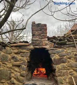 The Old Nest - Image 4
