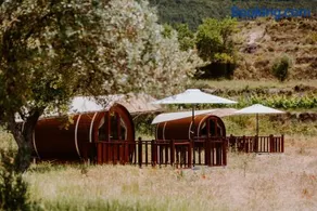 Finca Seguró - Image 3