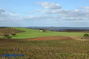 Turismo Rural Pedremoura - Image 4